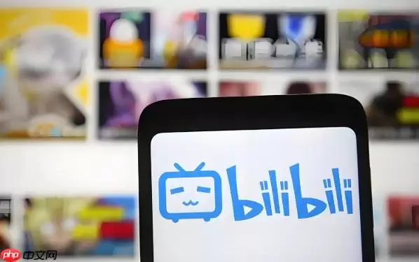 Bilibili登录页面 Bilibili官网网址