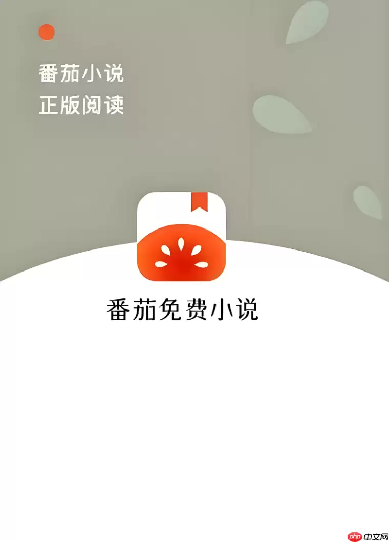 番茄免费小说打不开了是什么原因_番茄免费小说无法打开原因分析