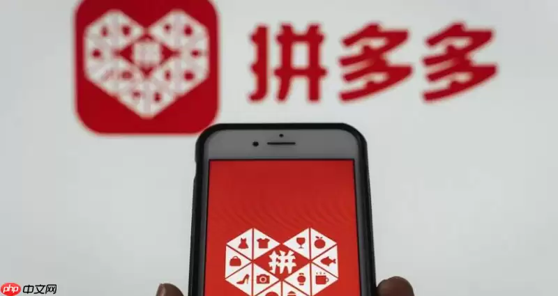 拼多多订单显示待支付怎么办 拼多多订单状态刷新与处理方法