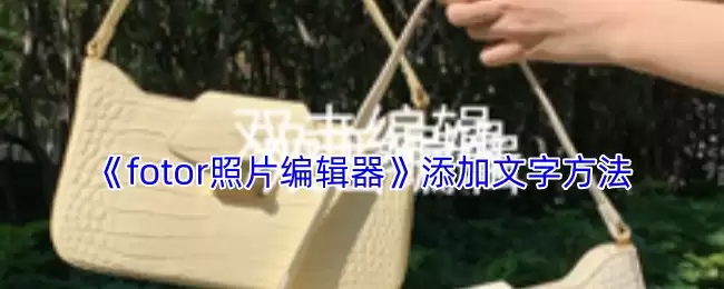 fotor照片编辑器怎么添加文字