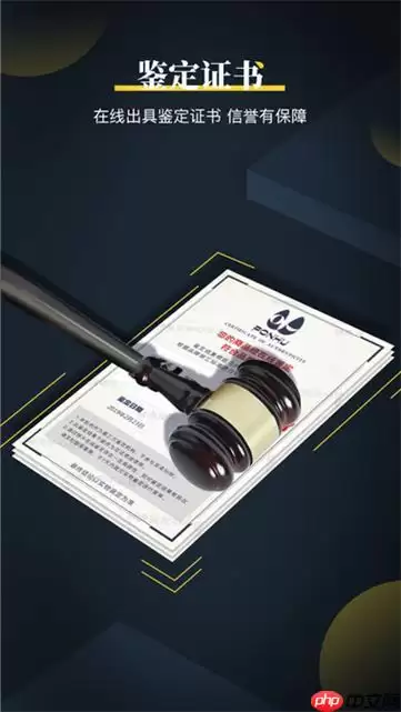鉴定师APP怎么实名认证_鉴定师APP实名认证材料与操作流程