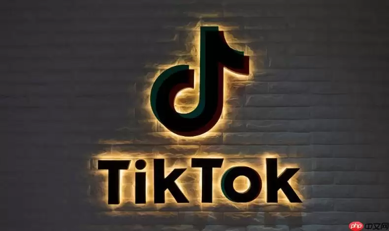 TikTok评论无法显示 TikTok评论区错误修复
