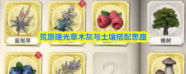 荒原曙光草木灰与土壤怎么搭配
