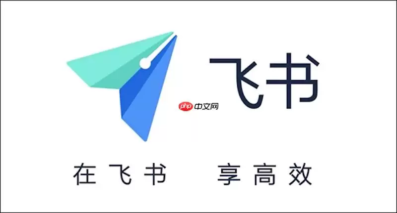 飞书视频通话麦克风无法使用怎么办 飞书视频音频修复与操作技巧