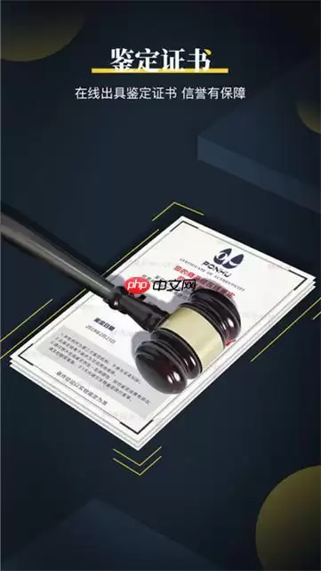 鉴定师APP如何申请复议_鉴定师APP结果异议与重新鉴定流程