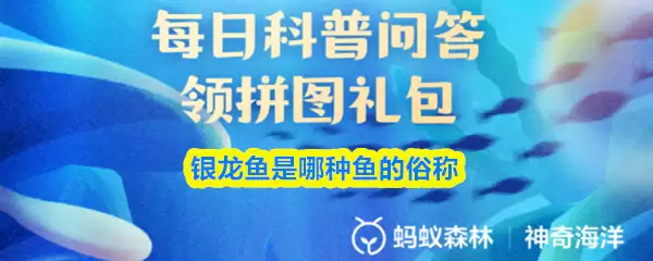 银龙鱼是哪种鱼的俗称