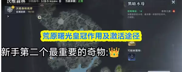 荒原曙光皇冠有什么用