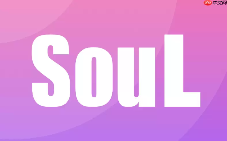 soul的“灵魂共鸣”是什么意思_Soul灵魂共鸣功能说明