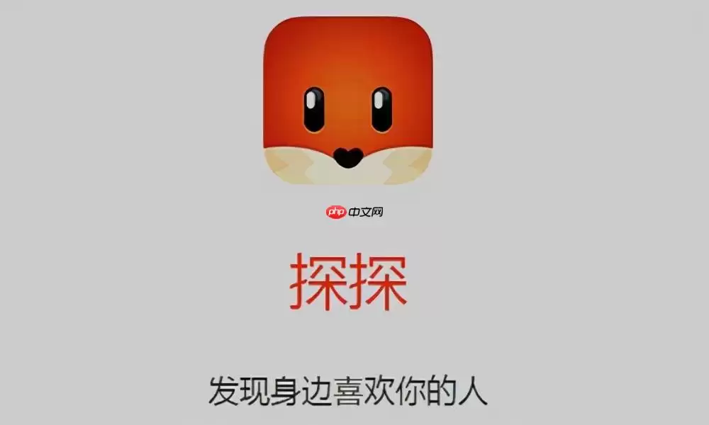探探聊天记录怎么查看_探探历史聊天记录查询方法
