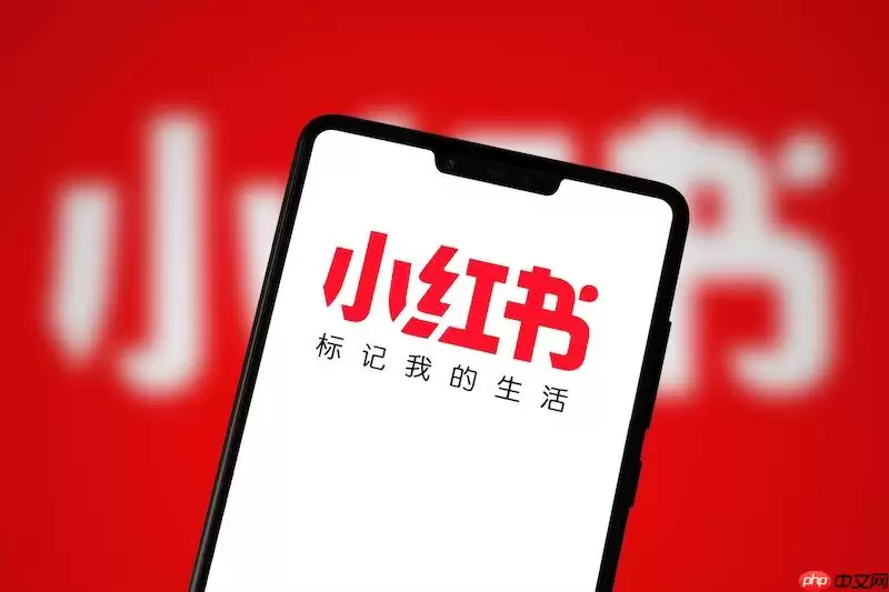 小红书网页版登录入口_小红书官方登录app入口