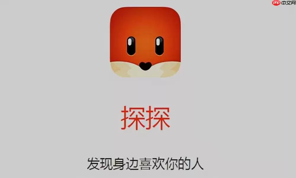 探探App怎么进行右滑匹配_探探App右滑匹配操作详解及成功秘诀