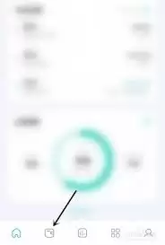 薄荷记账如何隐藏账户