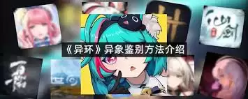 异环鉴别等级判定指南:3个关键因素与标准解析