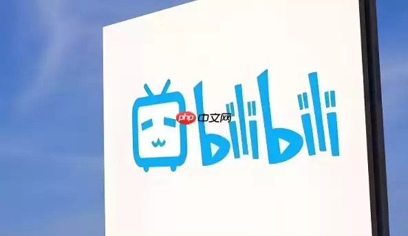 哔哩哔哩VR观看指南：视频投屏与设备播放全解析