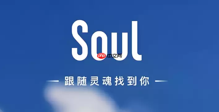 Soul账号永久封禁申诉指南：5步成功解封流程