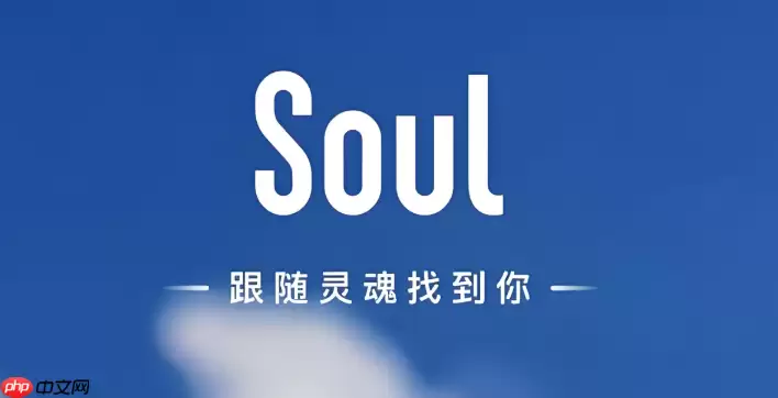 Soul头像挂件添加指南：3步轻松设置节日装饰