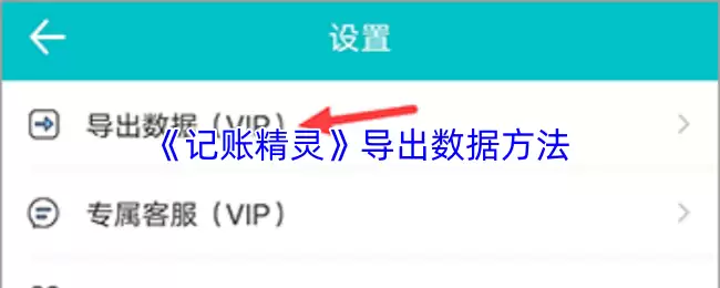 记账精灵导出账单教程：3步实现数据备份与导出