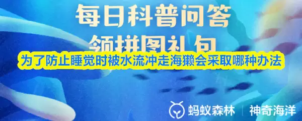 海獭睡觉防水流妙招：支付宝神奇海洋今日答案
