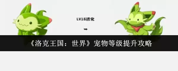 洛克王国宠物升级攻略：3步快速提升宠物等级