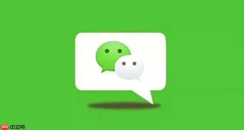 微信好友添加失败怎么办？隐私设置与好友管理方法