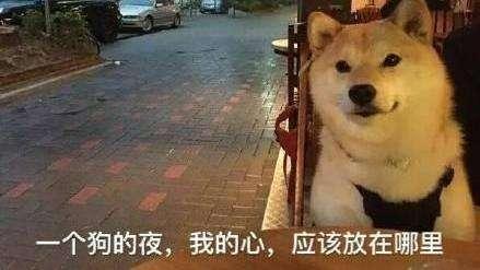 《全心爱你》5月20日上线！整条街都是恋爱的人 我还在寻找你的碎片