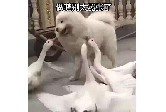 大声地告诉我！还有谁不喜欢「模拟器」类游戏？