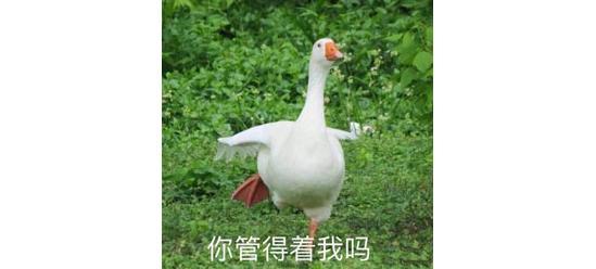 大声地告诉我！还有谁不喜欢「模拟器」类游戏？