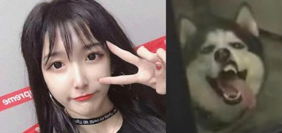 【就哔哔】是男是女傻傻分不清楚！你最喜欢哪个中性角色？