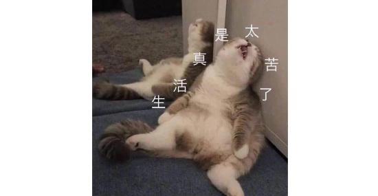 【就哔哔】是男是女傻傻分不清楚！你最喜欢哪个中性角色？