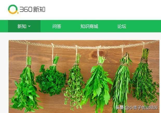 网上赚钱最可靠的简单八种方法，看看有没有适合您的？