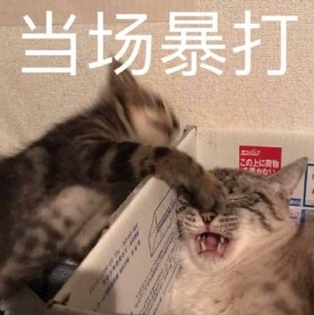 我做了一个梦，梦到了《我也是大侠》