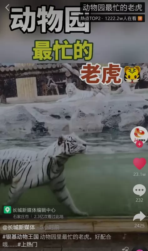 QQ截图20200706174157.png