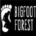 Bigfoot Forest