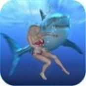 鲨鱼大冒险