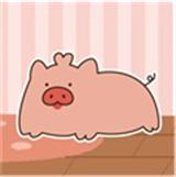 饲养小猪手游