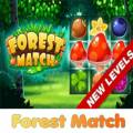 有趣的森林比赛