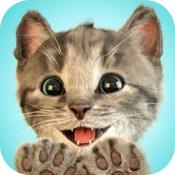 小猫我最喜欢的猫