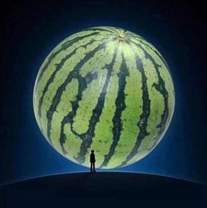 不知道合成大西瓜在哪玩？ 快来好游快爆下载吧~