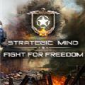战略思维为自由而战免费版