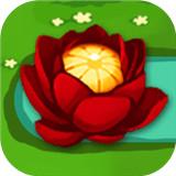 锦上添花网页版