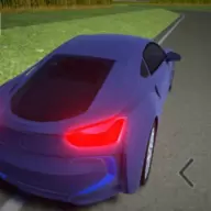 拉力赛车王安卓版