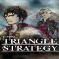 Project TRIANGLE STRATEGY