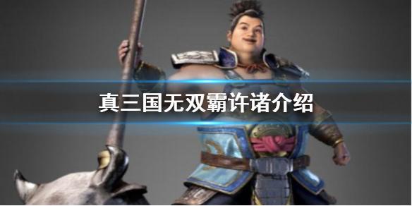 真三国无双霸许褚武将情报 许褚详细介绍