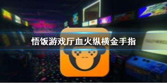 悟饭游戏厅血火纵横金手指代码大全 血火纵横金手指怎么开