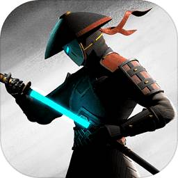 暗影格斗3无敌版