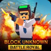 未知方块大吃鸡