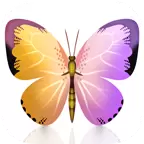 全民来找茬安卓版下载