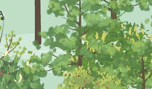 老农种树太阳花用途介绍及获取攻略