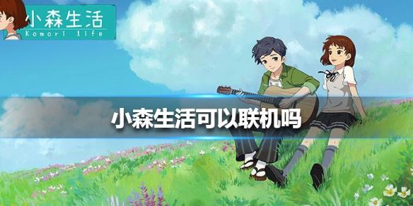 小森生活可以联机吗 联机介绍