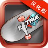 真实滑板2汉化版